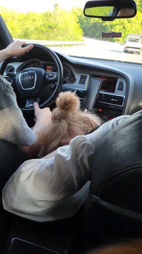 Driver captured on video in Audi in Montenegro