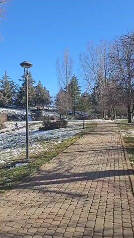 The camera pans across a park scene with a lake on a clear, sunny day. Patches of snow dot the green grass under bare trees. Two people are sitting on a bench near the lake, which is surrounded by a blue fence. A brick pathway is visible in the foreground. The sky is a bright, clear blue. The trees are bare except for some clusters of green mistletoe.
