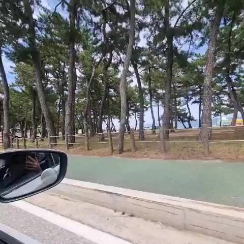 The video shows a view from inside a car, looking out the passenger side window. In the foreground, a portion of the car's side mirror is visible, reflecting the hand of the person holding the camera. The car appears to be on a road or pathway, with a beige-colored barrier on the right side and a green stripe running along the edge of the road. Beyond the road is a sandy area, followed by a line of wooden posts connected by rope, creating a fence. Behind the fence, there is a grassy area with numerous pine trees. In the distance, the ocean is visible, with a cloudy sky above. The overall environment appears to be a coastal area with a park or recreational space adjacent to the beach.