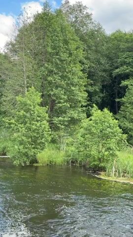 This is a horizontal video of a slow-moving river flowing through a lush forest. The water is a dark green color, and there are ripples on the surface. The riverbanks are covered in green grass and reeds, with several trees of various sizes lining the shore. The trees are tall and leafy, with a dense canopy of green leaves. The sky above is partly cloudy, with patches of blue visible between the clouds. The overall impression is one of a peaceful, natural setting. There are no people or animals visible in the video. The video is shot from a low angle, giving the viewer a sense of being close to the water.