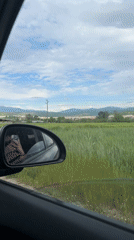 Spring landscape view captured from car near Blagoevgrad, Bulgaria