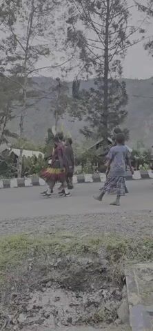 A group of people in traditional clothing are walking along a paved road. The people are wearing colorful skirts and headpieces. They are walking in a line, and some of them are carrying sticks. The road is lined with trees and there are mountains in the background. The weather appears to be cloudy.