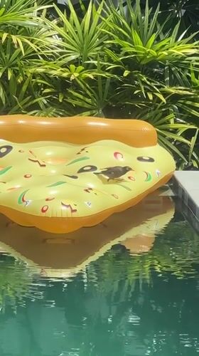Bird perches on pizza float in Thai tropical setting