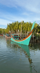 Quiet moment on the water near Matang's palm-lined shore