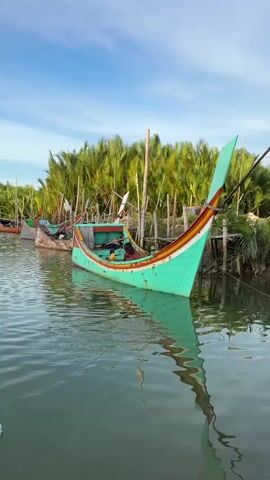 A man is sitting in a teal-colored boat, holding a net. The boat is on calm water, with other boats docked behind it. Palm trees line the shore, and the sky is blue with some clouds.