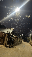 Moths swarm street lamp in Jos alleyway