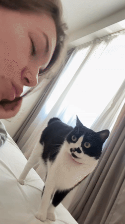 Morning scenes in Belgrade: selfies, cat encounters, soccer team