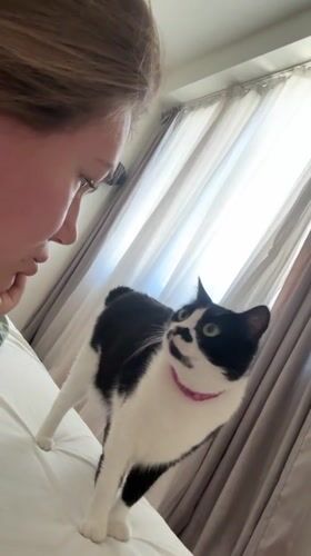 Morning scenes in Belgrade: selfies, cat encounters, soccer team