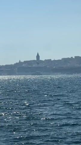 The video displays a wide shot of a body of water with shimmering sunlight reflecting off its surface. In the distance, a large white cruise ship is visible docked along the coastline of a city. Above the cruise ship and further inland, a tall, prominent tower with a pointed spire stands against the skyline. The city itself appears to be built on rolling hills. The sky is clear and a light blue, with a few distant birds flying. The overall scene is peaceful and scenic, suggesting a bright, sunny day.