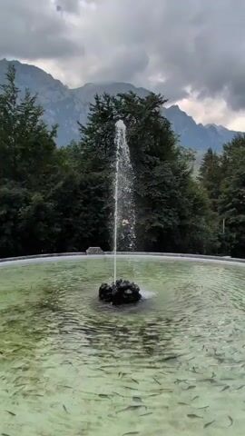 A video shows a fountain with water spraying upward in the center of a pool filled with small fish. The pool is surrounded by trees, and mountains are visible in the background under a cloudy sky. The water in the pool is clear, and the bottom is visible with many small fish swimming. The video is shot from a slightly elevated angle looking down into the pool.