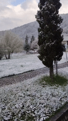 Late spring snowfall blankets Smolyan, Bulgaria countryside