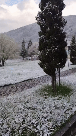 Late spring snowfall blankets Smolyan, Bulgaria countryside
