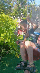 Kids at play in a Bulgarian backyard, summer morning