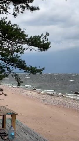 The video shows a beach scene with a stormy sky and rough water. In the foreground, there is a wooden table and bench on a deck with colorful paint splatters. A large plastic bottle of water and a red cup are on the deck. A tree branch with pine needles hangs over the scene. The camera pans to the right, showing the sandy beach with rocks and then the choppy ocean water under a dark, cloudy sky. Finally, the camera pans further right and focuses on a wooded area with birch and pine trees. Several tents are visible among the trees, along with people and camping equipment. One person is bending over at a table near a tent.
