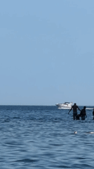 Cliff jumping and swimming off Budva's rocky Adriatic coastline