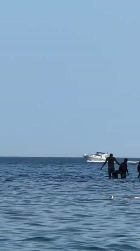 Cliff jumping and swimming off Budva's rocky Adriatic coastline