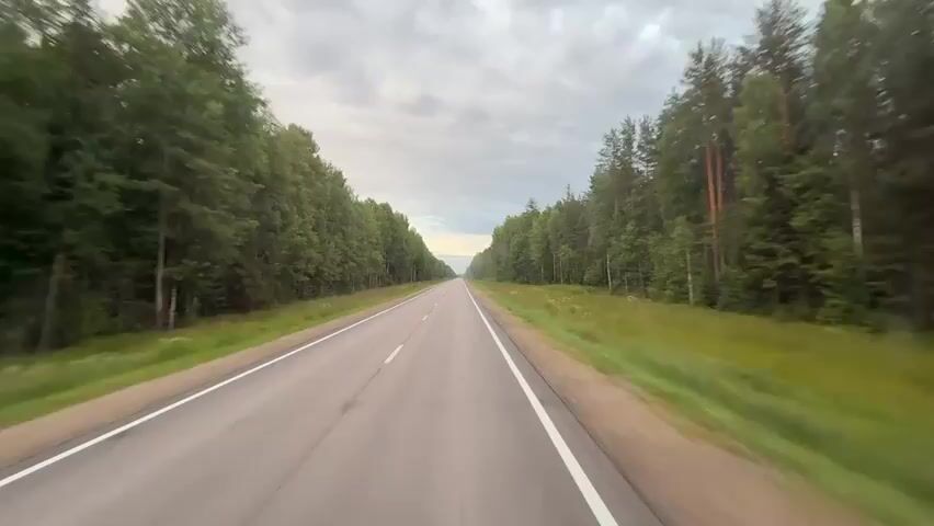 The video shows a point-of-view shot from a vehicle traveling on a paved road through a forest. The road is asphalt with white lines marking the lanes. On either side of the road are dense green trees, primarily deciduous with some evergreens. The sky is cloudy, with hints of sunlight breaking through. The perspective gives a sense of motion, with the trees and road appearing to blur slightly as the vehicle progresses. There are no other vehicles or people visible. The overall environment is natural and rural.