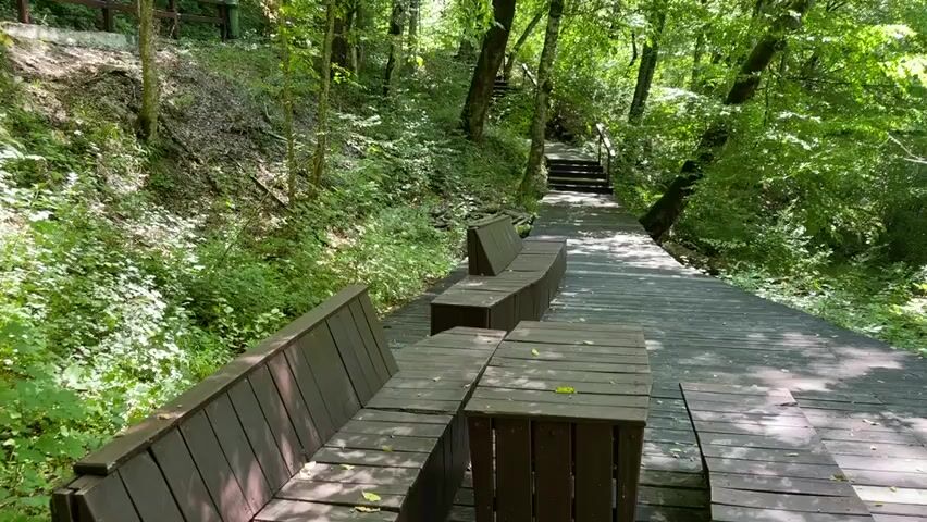 A wooden walkway winds through a lush, green forest. Several wooden benches and tables are positioned along the walkway. In the distance, a staircase leads up a hill. The walkway then curves to the right, revealing a body of water surrounded by trees. The sun shines through the leaves, creating dappled light.