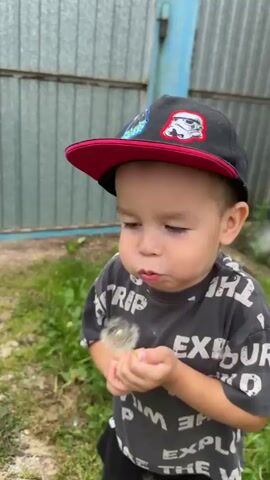 A young boy wearing a black baseball cap with a Star Wars character on it and a gray t-shirt with white text is holding a dandelion and running along a paved path. The path is bordered by green grass and a blue and silver fence. The boy is looking to his left and appears to be blowing on the dandelion. In the background, there is a building with white siding and windows, and more green vegetation. The camera follows the boy as he runs.