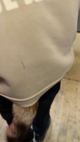 A person wearing a beige hoodie with the words "SUPERIOR CAUSE JEANS" printed on the back and black pants walks through a room. Attached to the back of the pants is what appears to be a raccoon tail. The person walks past kitchen cabinets, a microwave, and a black trash can. The flooring is light-colored wood planks. The person appears to be moving quickly and in a slightly jerky manner.  A young child can be partially seen at the end of the clip.  A voice with a slightly high pitch can be heard making a sound that could be laughter.