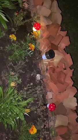 The video shows a close-up, overhead view of a garden bed at night. The garden bed is bordered by a rough wall of broken red bricks. Several small, decorative mushroom-shaped lights are planted in the soil along the brick border. One of these lights is partially obscured by a solar-powered garden light stake. The garden bed itself contains various plants with green leaves and some yellow and orange flowers. The ground appears to be dark soil, possibly damp.