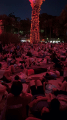 Supertree Grove light show draws crowds at Gardens by the Bay