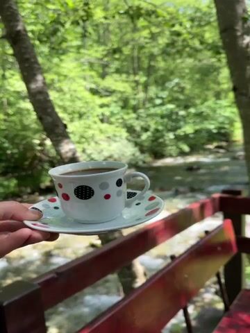 The video shows a close-up of a hand holding a white coffee cup with a red and black polka dot pattern, resting on a matching saucer. The cup contains dark coffee. The background is a lush green forest with a stream flowing through it. Sunlight filters through the trees, creating dappled light. The coffee cup is held in front of a red wooden bench, with a blurred red table visible on the right side. The stream is shallow and clear, with rocks visible on the streambed. The trees are tall and leafy, creating a dense canopy. The overall impression is one of a peaceful and serene natural setting.
