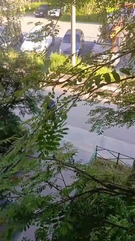 The video is a high-angle, shaky shot looking down through green foliage at a parking lot with several cars. The cars visible include a white sedan, a dark gray sedan, a lighter gray sedan, and a red vehicle, possibly a bus or a van. There is also a dark colored car parked further back. The parking lot appears to be paved with gravel or a similar material, and there is a strip of grass between the parking area and a paved pathway or road. A light pole is visible. The foliage obscures much of the scene, creating a dappled light effect. The time stamp indicates the video was recorded at the very beginning of June.