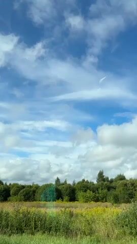 The video shows a view of trees and a blue sky with clouds. The camera is moving, likely from a vehicle, as the trees and clouds appear to be passing by. There are green trees of various heights, with some appearing to be birch trees due to their white bark. In the foreground, there is tall grass and other vegetation. The sky is mostly blue with scattered white clouds, and a faint contrail from an aircraft is visible. A green netting or mesh is partially visible among the trees.