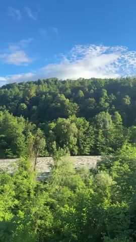 The video captures a verdant, tree-covered hillside beneath a bright blue sky dotted with white clouds. A wide, turbulent river flows horizontally across the mid-ground of the frame, its water appearing light-colored and fast-moving. Dense green foliage fills the foreground and extends up the hillside, obscuring much of the landscape. The lighting suggests it is daytime, likely late morning or early afternoon, with the sun illuminating the scene. There are no people or artificial structures visible in the frame. The overall impression is of a natural, untamed environment.