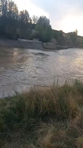 This media file captures a wide shot of a river flowing through a landscape that appears to be in Kasansay, Uzbekistan. The river is the primary subject, with its surface showing ripples and movement, indicating a steady current. The water is a murky brown, suggesting it may be carrying sediment or has recently experienced increased flow.

On the far bank, a concrete structure lines the river, possibly a canal or embankment, with a small building situated on top. Further along, trees and vegetation are visible, with some appearing to be on a gentle slope. The sky above is partly cloudy, with hints of the sun breaking through, suggesting it might be late afternoon or early evening. The overall scene is natural and somewhat rural, with the presence of the concrete structure indicating some level of human infrastructure.

In the foreground, dry grasses and weeds are visible along the riverbank, adding to the natural, unmanicured feel of the immediate surroundings. There are no people or animals clearly visible in the frame. The overall mood is calm and observational, focusing on the movement of the water and the surrounding environment. There is no visible text in the media file.