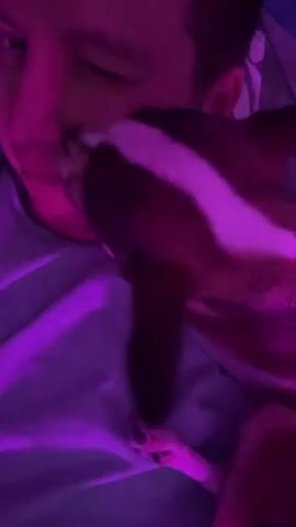 A close-up shot shows a person's face partially obscured by a small dog. The lighting is predominantly purple, casting a neon glow on the scene. The dog, with brown and white markings, is nuzzling the person's nose and cheek. The person appears to be lying down, with their eyes partially closed and a slight smile on their face, suggesting a comfortable and affectionate interaction. The background is indistinct, appearing to be a bed or couch with a purple-tinted blanket or sheet.
