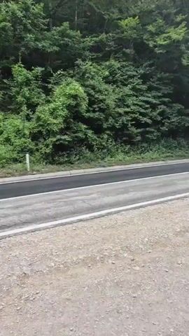 The video shows a road bordered by lush green trees. The road surface appears to be asphalt, with white lines marking the lanes. In the foreground, a patch of newly laid asphalt is visible, suggesting recent roadwork. Further down the road, a white car is seen driving away from the camera. The surrounding environment is predominantly natural, with dense vegetation on either side of the road. A signpost is partially visible on the left side of the road, indicating a sharp curve ahead. The sky is overcast, casting a diffused light on the scene.