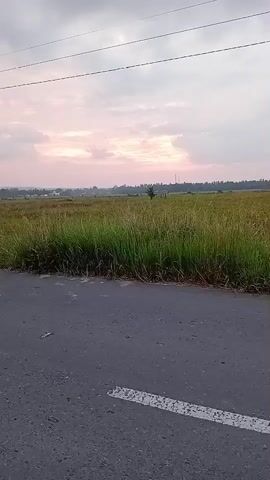 A car drives by on a paved road with white dashed lines. A grassy field is to the right of the road. Power lines are visible in the sky. The sky has clouds and appears to be either sunrise or sunset. The car is blurred due to motion.