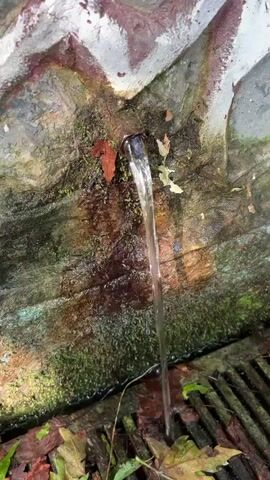 A close-up shot shows water flowing from a spigot. The spigot is set into a textured, weathered wall with patches of green moss and reddish-brown discoloration. A few fallen leaves are visible on the wall and ground. The water flows downwards and appears to be collected by a metal grate below. The overall impression is of an outdoor setting, possibly a natural spring or an old water feature.