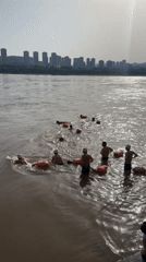Morning swimmers, families gather along Jiangjin riverfront