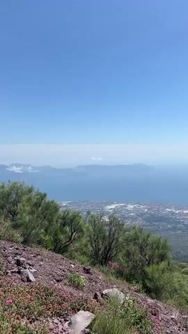 A vertical video captures a panoramic view from a high vantage point overlooking a coastal city and the sea. In the foreground, a rocky, sloping terrain is covered with sparse vegetation, including green bushes and small pink wildflowers. The midground reveals a dense green landscape, likely a mountainside or forest, that transitions into a sprawling urban area with buildings and roads. Beyond the city, a vast expanse of blue sea stretches to the horizon, where several islands or landmasses are visible in the hazy distance under a clear, bright blue sky. The sun's glare is noticeable in the upper right corner of the frame. No people or discernible actions are present in the video.