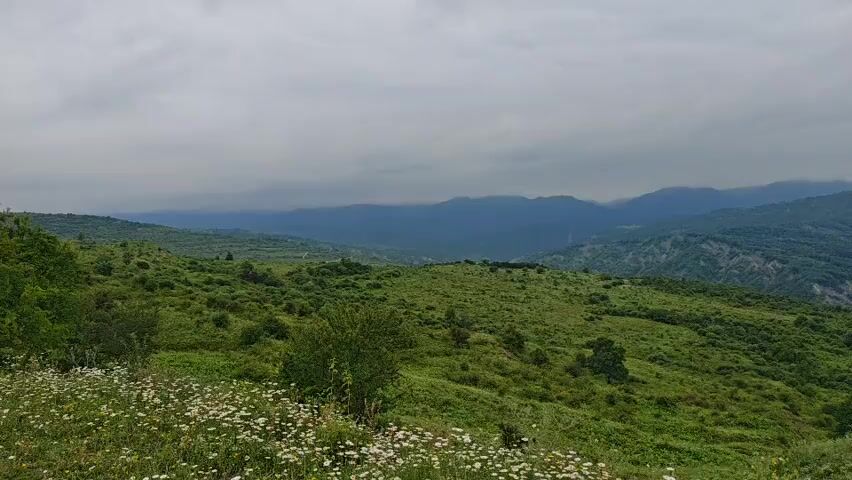 A drone shot pans across a lush green landscape of rolling hills and mountains under a cloudy sky. In the foreground, a field of white wildflowers is visible. The drone moves slowly, offering a panoramic view of the natural scenery.