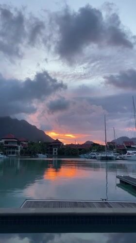 Seychelles afternoon: poolside gardens, tropical blooms, and a quiet bay