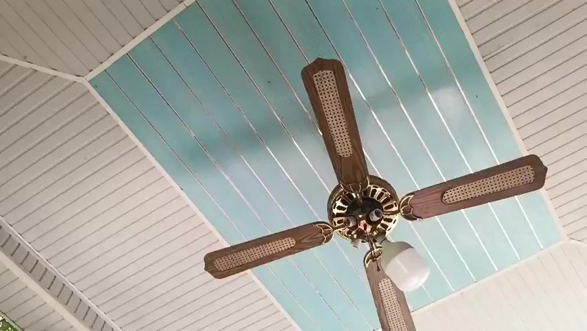 The video begins with a close-up shot looking up at a ceiling fan with wooden blades and a light fixture. The ceiling is paneled with white and light blue sections. The camera then pans to the left, revealing a covered porch or outdoor area with a white-paneled ceiling. Trees with green leaves are visible in the background, suggesting an outdoor setting during the daytime. The perspective shifts to show a portion of the yard with a ladder, a large metal barrel, and other outdoor elements. The video appears to be a casual recording of an outdoor environment, possibly a backyard or patio.