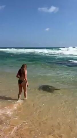A woman in a bikini is standing in shallow water near a beach. She reaches towards something in the water. The water is clear and turquoise, with visible waves further out. There appears to be a large sea turtle in the water near the woman. The sky is blue with some clouds. Other people are visible in the water in the distance.