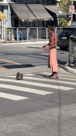Pink skirt, metallic pot, bareBack crossing a São Paulo street