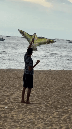 Beach day in Pattaya: kites, banana boats, and the waterfront strip