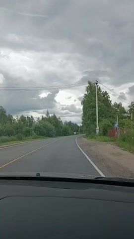 The video shows a point-of-view perspective from inside a car driving on a paved road. The road has two lanes, marked with a yellow line on the left and a white line on the right. The sky is overcast with gray clouds. On the right side of the road, there is a dense line of trees, predominantly birch trees with white bark and green foliage, and some other deciduous trees. A power pole with wires runs alongside the road. Further down the road, a triangular warning sign with a red border and a black symbol is visible on the right side. The landscape appears rural, with more trees and vegetation visible on the left side of the road in the distance. The car is moving forward, and the road curves slightly to the left. The view is unobstructed by any people in the frame.