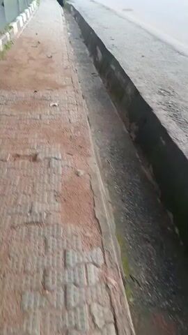 The video shows a first-person perspective of walking along a paved sidewalk next to a drainage ditch. The sidewalk is made of red brick pavers with a textured pattern. The drainage ditch is deep and filled with debris. A road runs parallel to the ditch. In the distance, a vehicle is visible. The environment appears to be outdoors, possibly urban or suburban. There are no people or animals visible in the immediate vicinity. The footage is shaky, indicating movement.