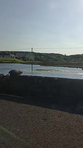 The video is an outdoor shot taken from a moving vehicle. The scene shows a body of water in the middle ground, with a stone wall in the foreground. In the background, there are several houses situated on a grassy hill, with trees and vegetation scattered around them. The sky is clear and bright, with the sun prominently visible in the upper right corner, suggesting it is daytime. The sun's rays create a glare on the water's surface. A utility pole stands near the water. The overall environment appears to be rural or semi-rural, possibly coastal.