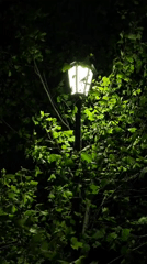 Evening tour group visits illuminated landmarks in Pyatigorsk, Russia
