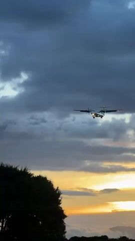A turboprop airplane with visible landing gear descends under a cloudy, overcast sky. The sun is setting, casting a warm glow on the horizon, visible through breaks in the clouds. The plane has its headlights on, and the propellers are spinning. Below the aircraft, a dense line of trees forms a dark silhouette against the lighter sky. The camera is positioned low, looking up at the plane, suggesting it is either approaching for landing or taking off from a nearby airport. The overall atmosphere is serene and somewhat dramatic due to the interplay of light and shadow.