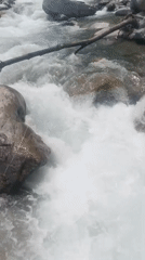Morning riverside walk documented in Old Manali mountain town
