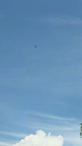 The video shows a single bird flying high in a clear blue sky with some thin, white clouds. The bird is small and silhouetted against the sky. There are overhead wires visible in the bottom left corner of the frame.  There is indistinct speech in the background.